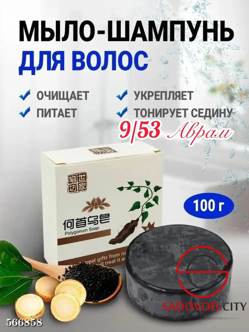 Мыло-шампунь Lifeventure Shampoo Leaves - купить в Gorgany